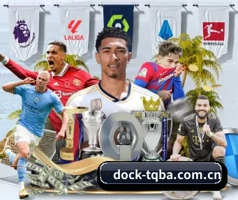 dock-tqba.com.cn APP